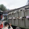 Photo, Video: Disturbing Stuffed Animal Truck IS The Work Of Banksy